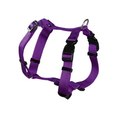 ARNÉS NYLON BASIC PÚRPURA 22127 T-20
