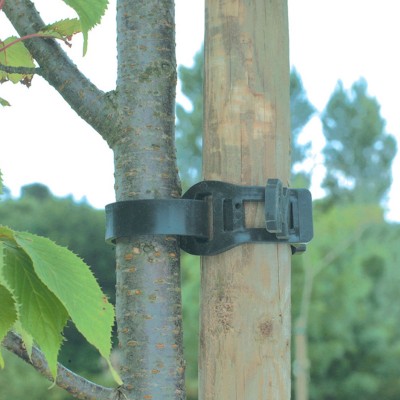 ABRAZADERA TREE TIE NORTENE 147246