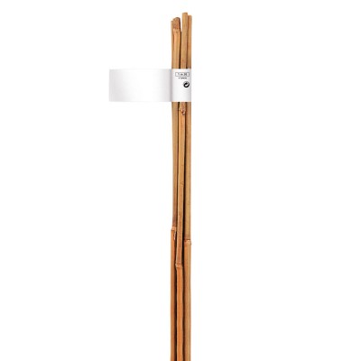 TUTOR NORTENE BAMBOO 140833 1,2m