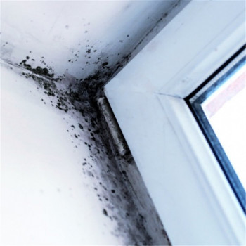 MEMBRANA ANTIHUMEDAD CEYS AGUASTOP INTERIOR 750g