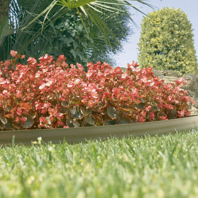 BORDURA NORTENE BARK BORDER 2013546 9cmx10m