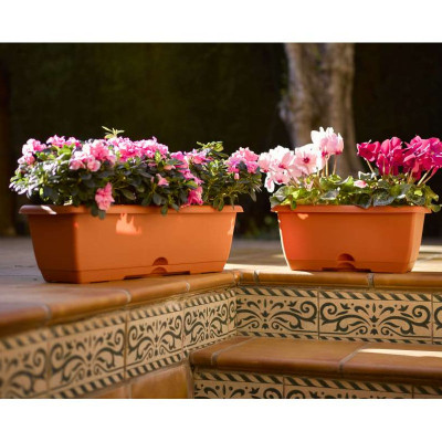 JARDINERIA BALCON 5393095 TERRACO