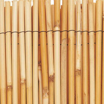 CAÑAS BAMBÚ NATURAL NORTENE REEDCANE 170971 1,5x5m