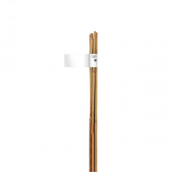 TUTOR NORTENE BAMBOO NATURAL 140835 180cm
