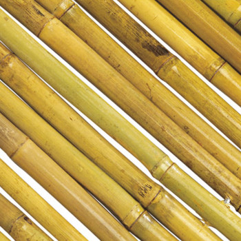 ROLLO BAMBÚ NORTENE BARNIZADO BAMBOOFLEX 170882 1,5x3m