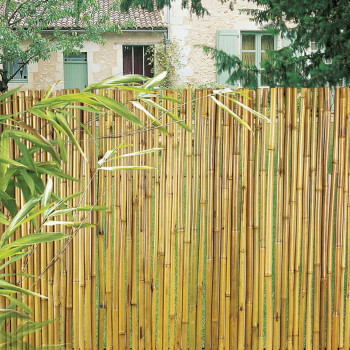ROLLO BAMBÚ NORTENE BARNIZADO BAMBOOFLEX 170882 1,5x3m