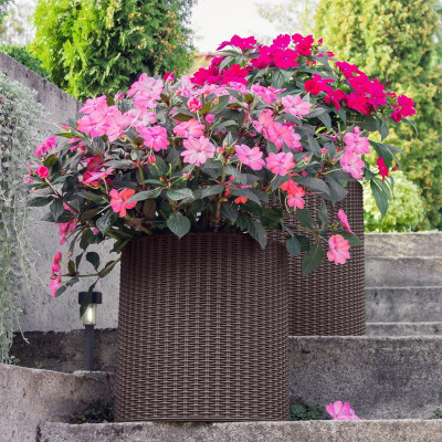 MACETA JARDÍN CURVER 223744 RATTAN